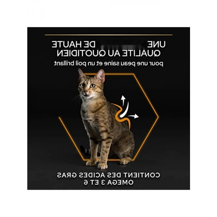 Yetişkin Kediler İçin Somonlu Kuru Mama - 1.5 kg