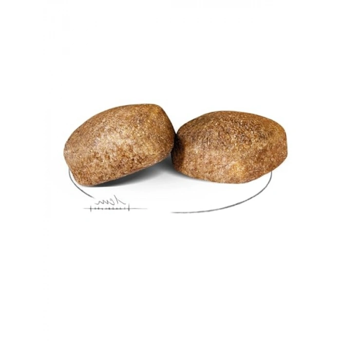 Yetişkin Köpek Maması - 15 Kg