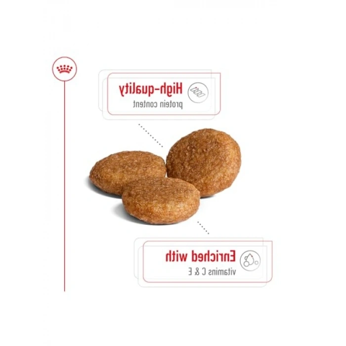 Yetişkin Köpek Maması, 15 Kg