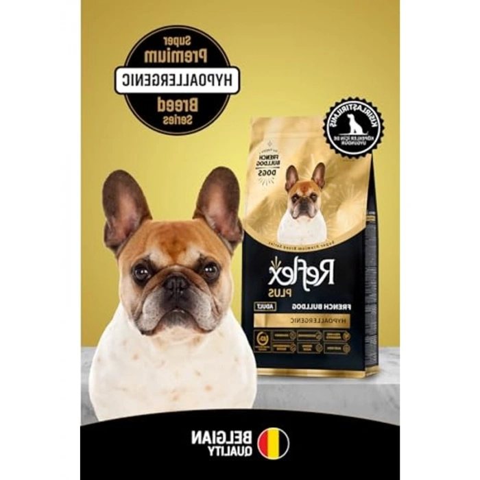 Yetişkin Köpek Maması 8 kg, Kuzu Aromalı Besin