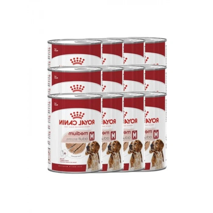 Yetişkin köpek yaş maması, 410 gram x 12 adet paket