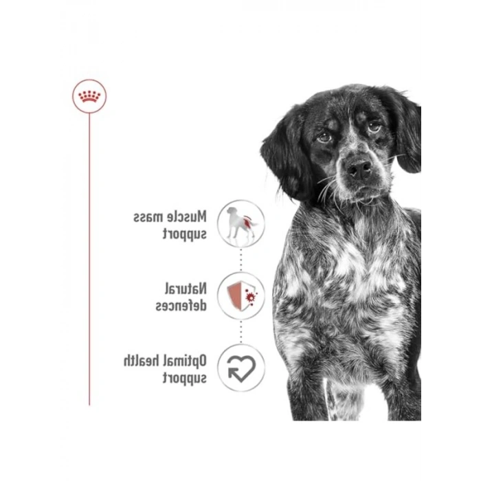 Yetişkin köpek yaş maması, 410 gram x 12 adet paket