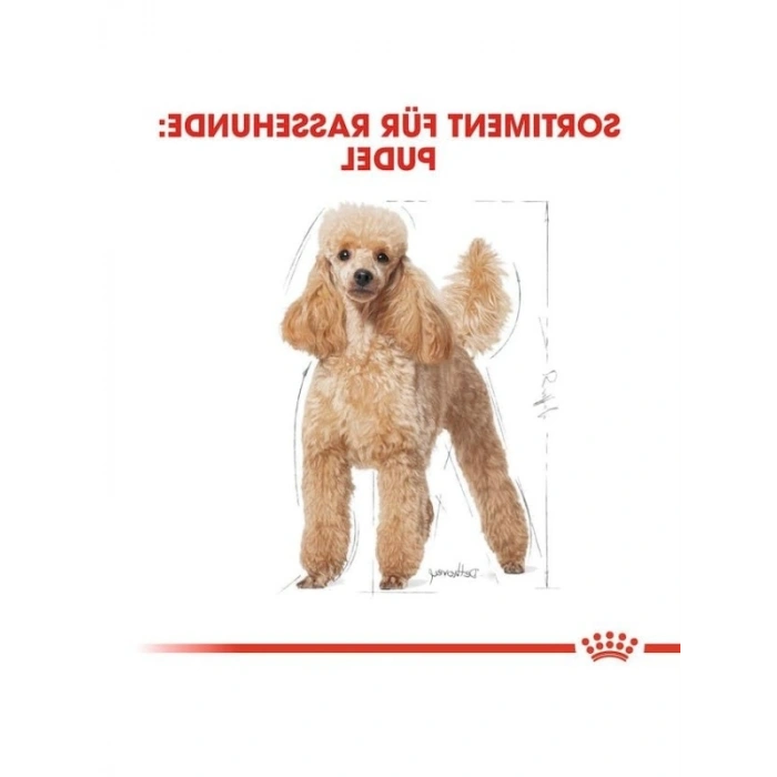 Yetişkin Poodle Köpek Maması, 3 Kg