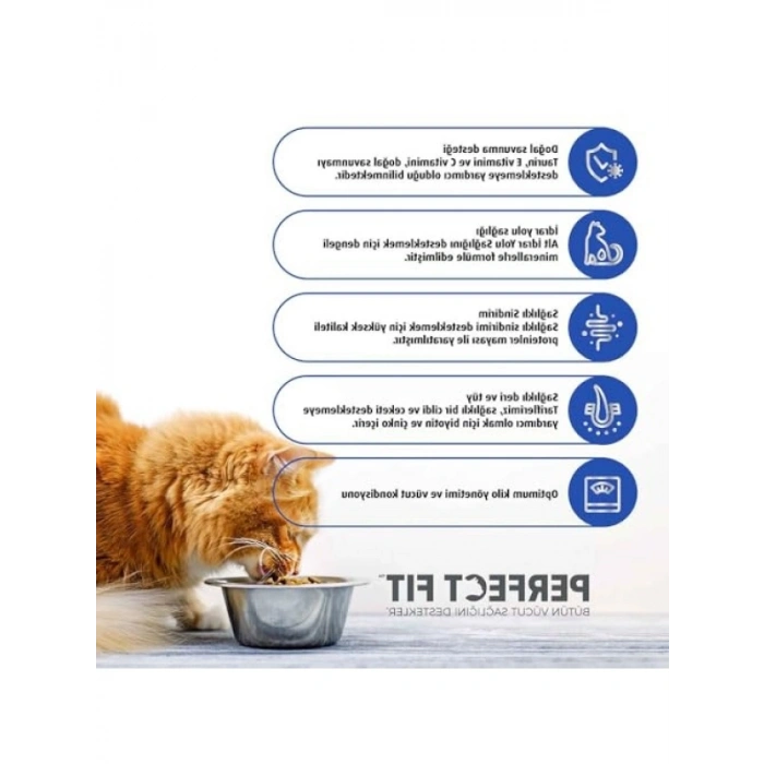 Yetişkin Sığırlı Kuru Mama, 750 G