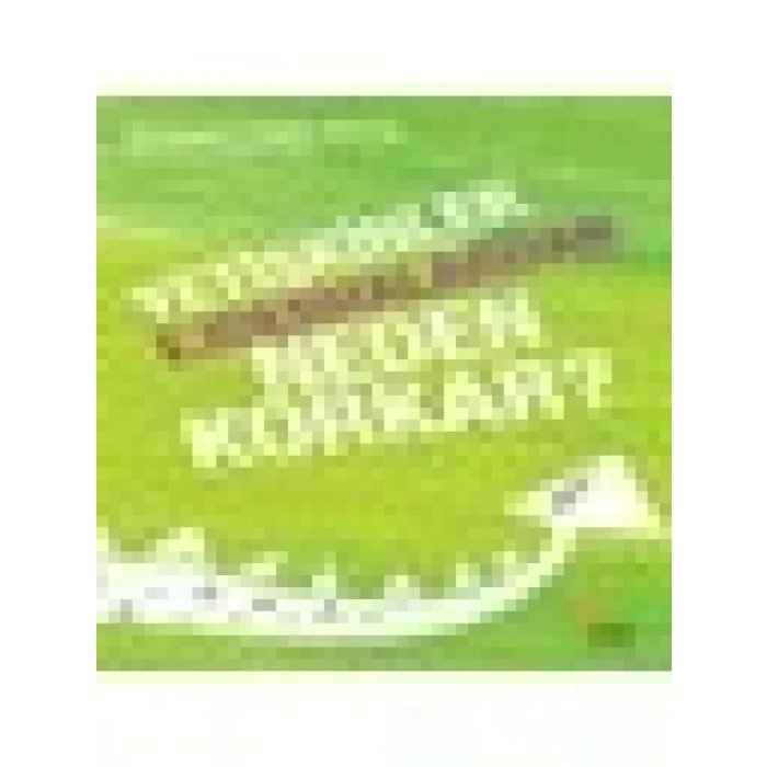 Yetişkinler Ejderhalardan Neden Korkar - İshak Reyna