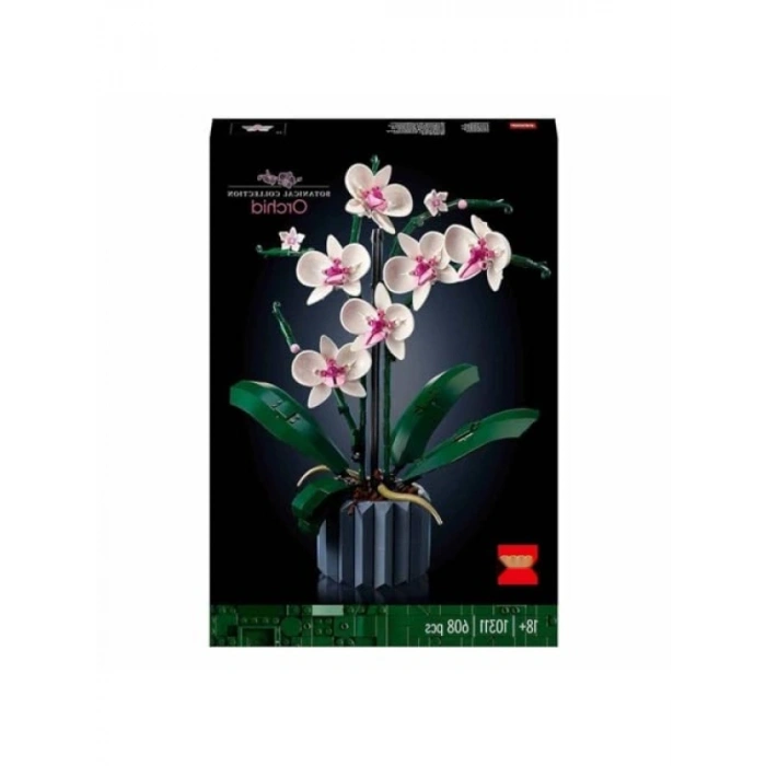 Yetişkinler İçin Orkide Yapım Seti