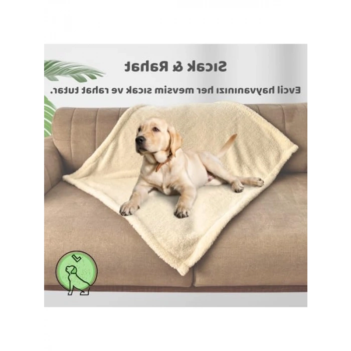 Yıkanabilir Kedi Köpek Battaniyesi, Premium Peluş, Krem Renk, 80x100