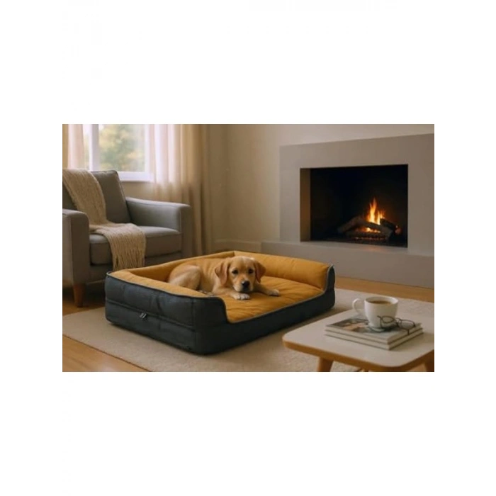 Yıkanabilir Köpek Yatağı, Fermuarlı, Sungerli, Orta Boy