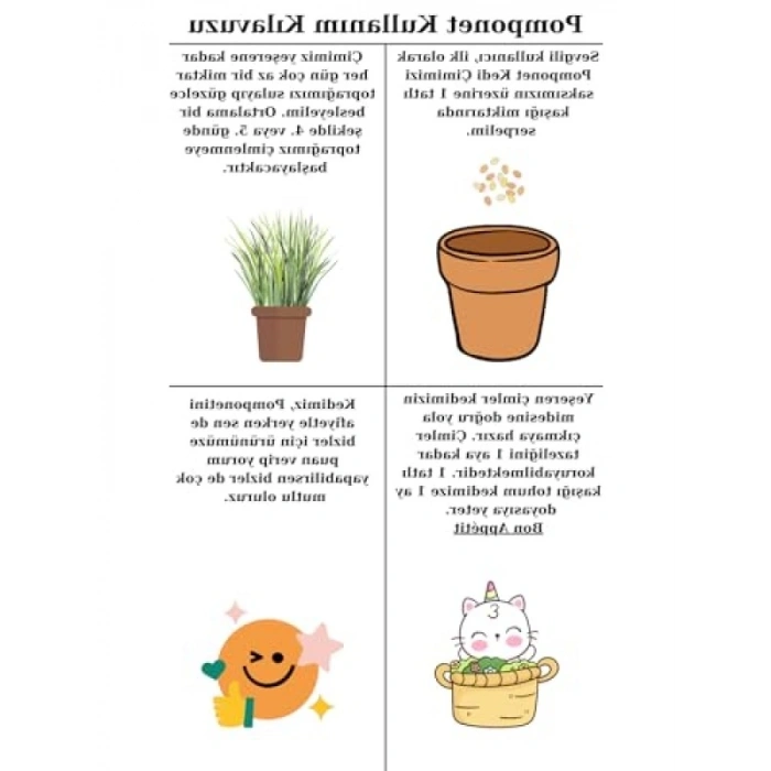 Yıl Boyu Yeşil Kedi Çimi - Pomponet