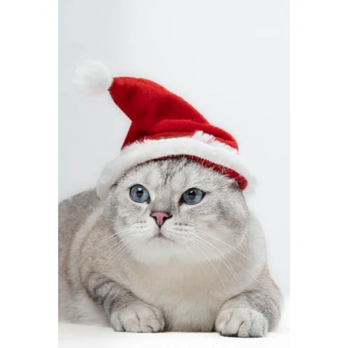 Yılbaşı Temalı Lastikli Kedi Şapkası