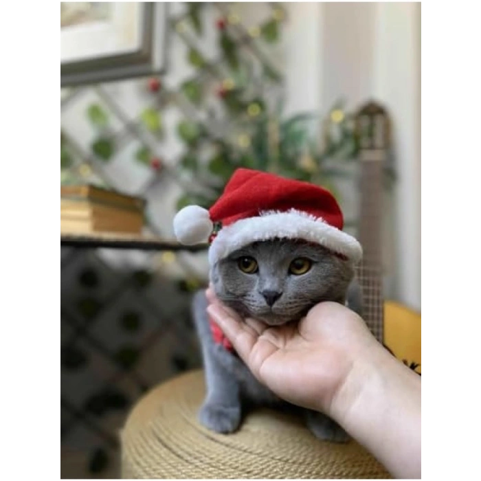 Yılbaşı Temalı Lastikli Kedi Şapkası