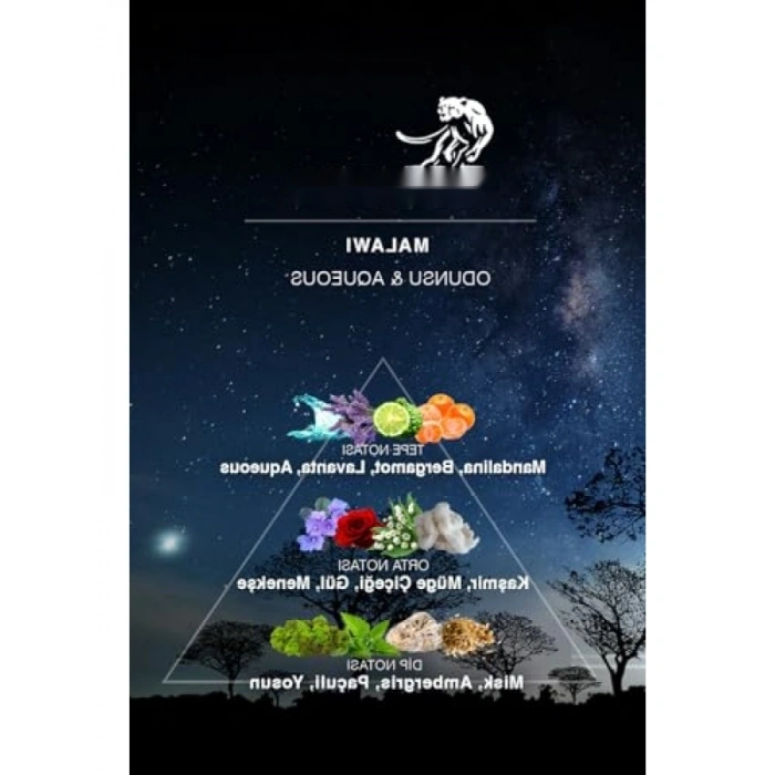 Yoğun ve Kalıcı Erkek Parfümü 100ml