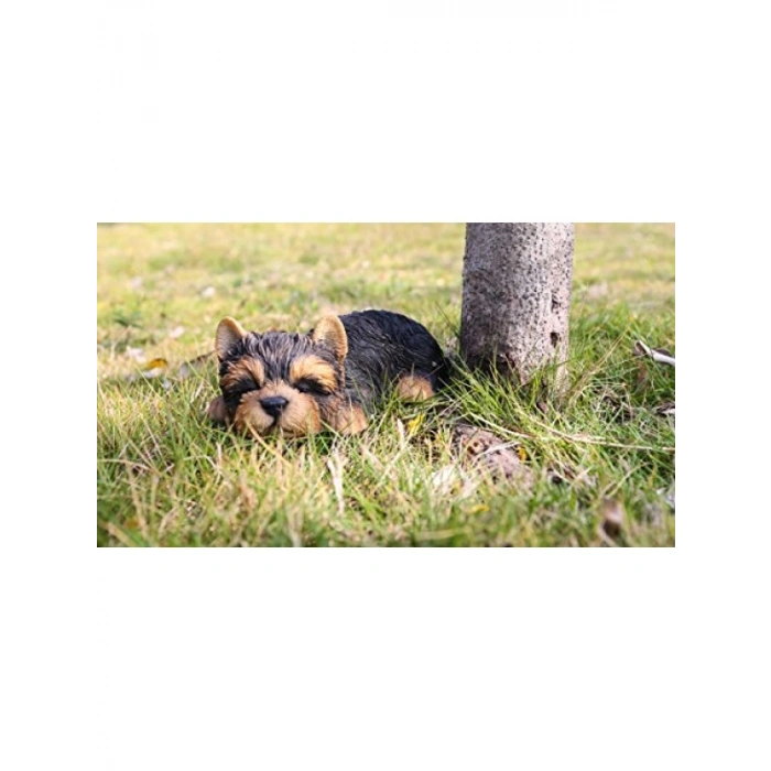 Yorkshire Terrier Heykeli, Siyah, Evcil Hayvan Dostları için