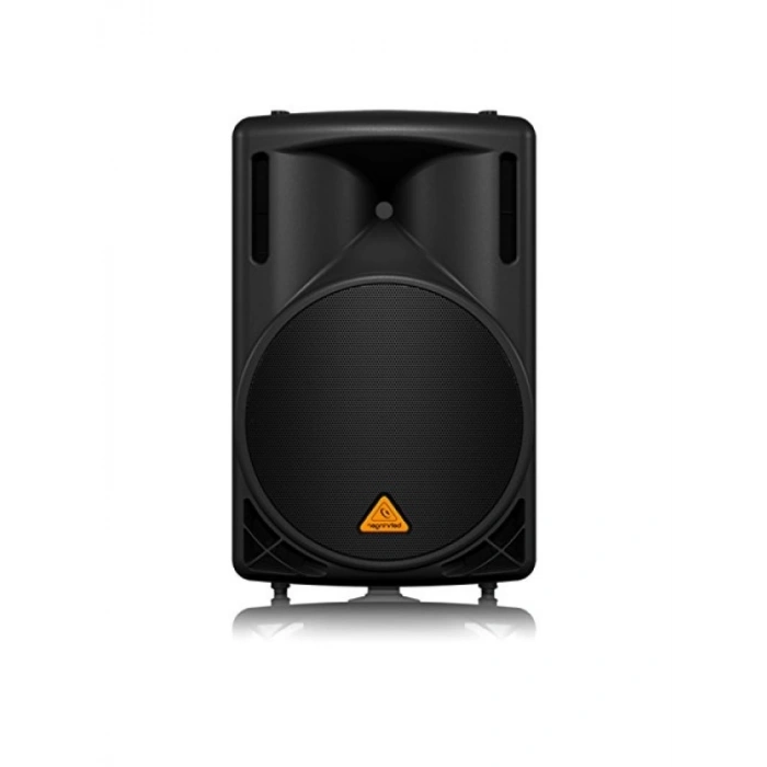 Yüksek Güçlü 1000 Watt 2 Yollu Pasif Hoparlör