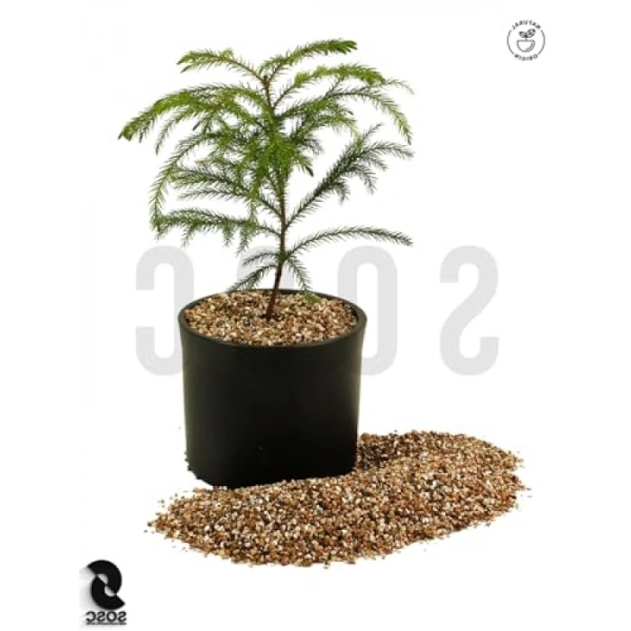 Yüksek Kaliteli 5 Lt Vermikülit