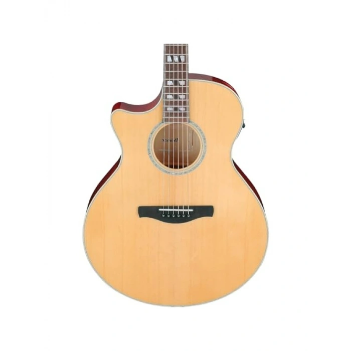 Yüksek Kaliteli Elektro Gitar - AE170-NTR Modeli