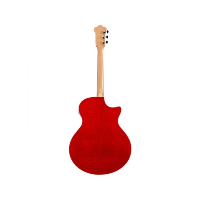 Yüksek Kaliteli Elektro Gitar - AE170-NTR Modeli