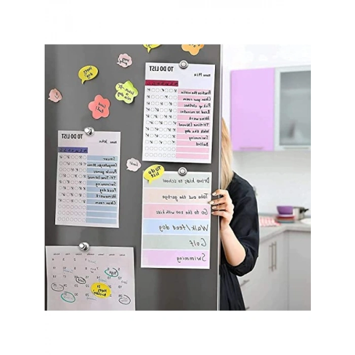 Yüksek Kaliteli Neodyum Mıknatıs Seti (12 Adet)