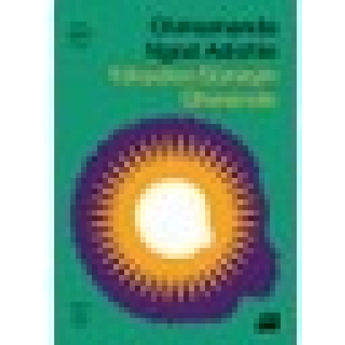 Yükselen Güneşin Ülkesinde - Chimamanda Ngozi Adichie