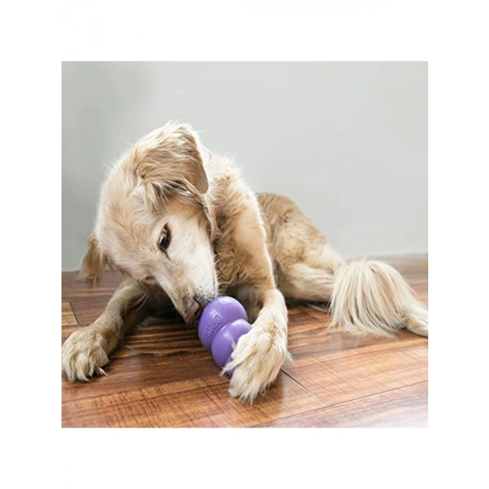 Yumuşak Doğal Kauçuk Senior Köpek Oyuncağı