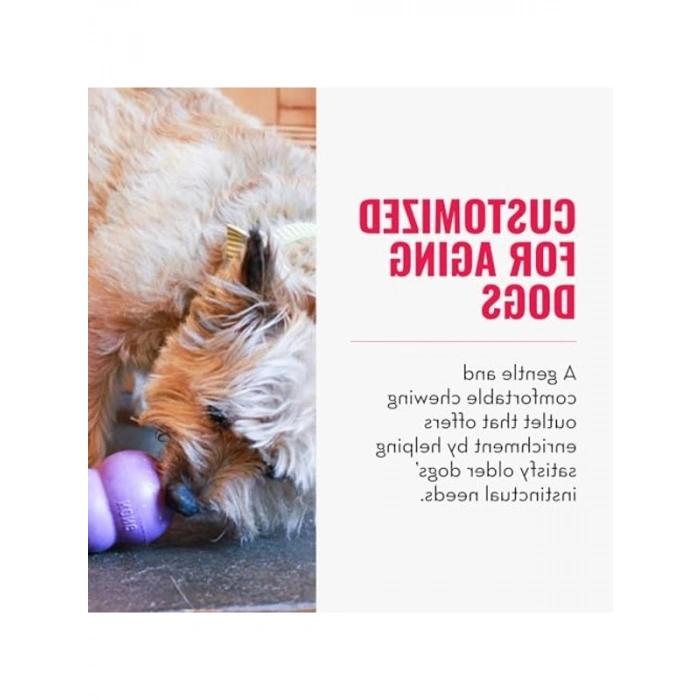 Yumuşak Doğal Kauçuk Senior Köpek Oyuncağı