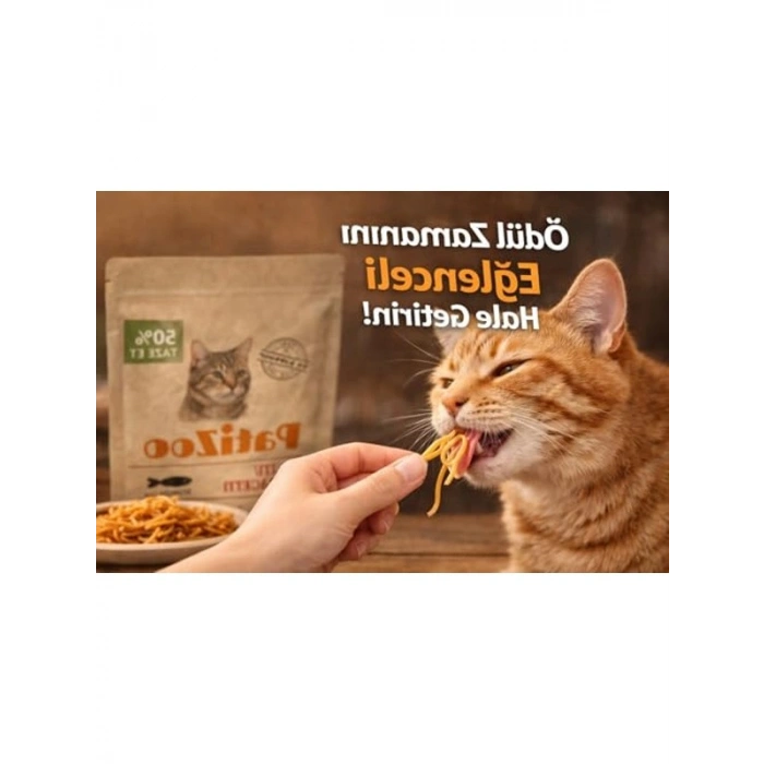 Yumuşak ve Çiğnenebilir Kedi Atıştırmalığı - Spagetti Ödül