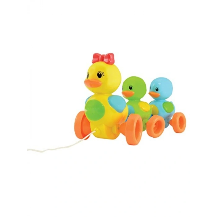 Yürüme Arkadaşı Vakvak Ördekler