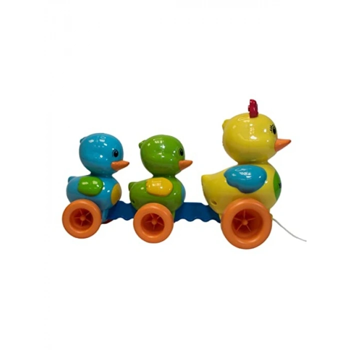 Yürüme Arkadaşı Vakvak Ördekler