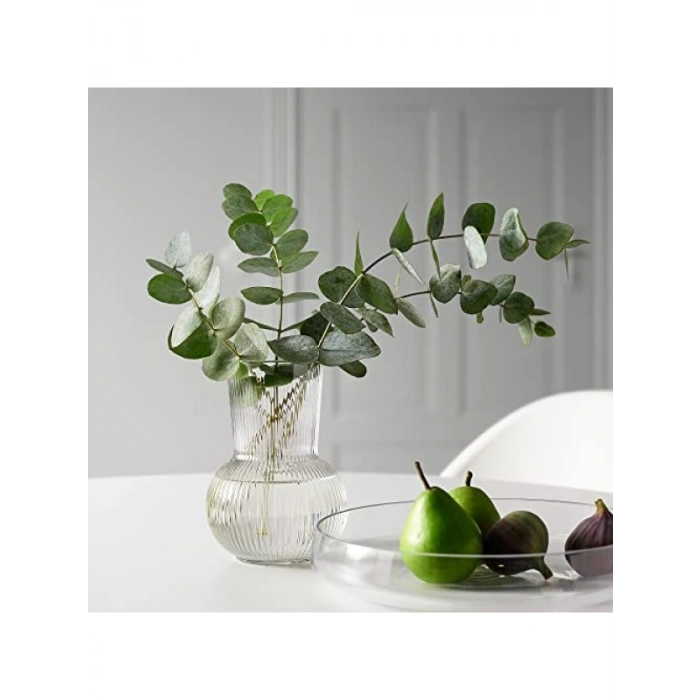 Yuvarlak Cam Vazo - 17 cm