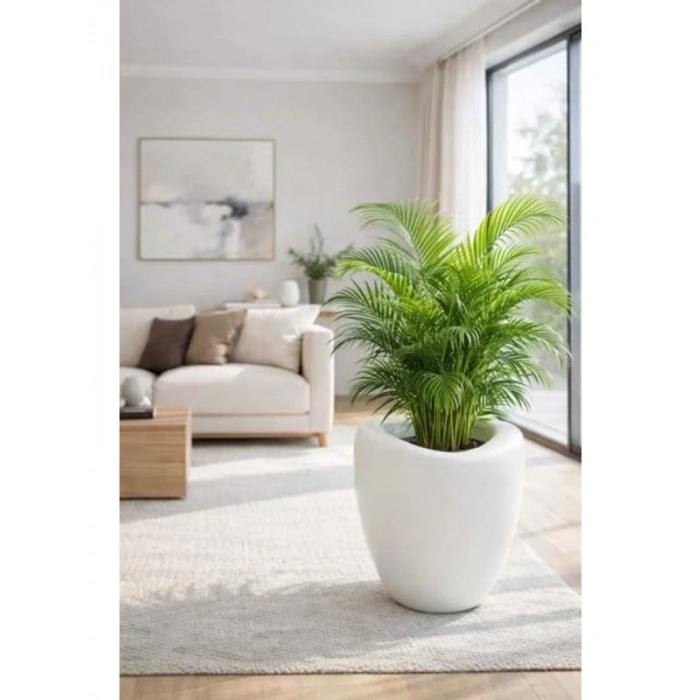 Yuvarlak Plastik Saksı, 42x45 cm Boyutunda, Beyaz Renkli