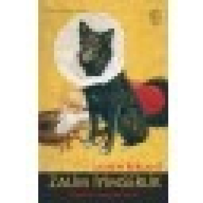 Zalim İyimserlik - Lauren Berlant