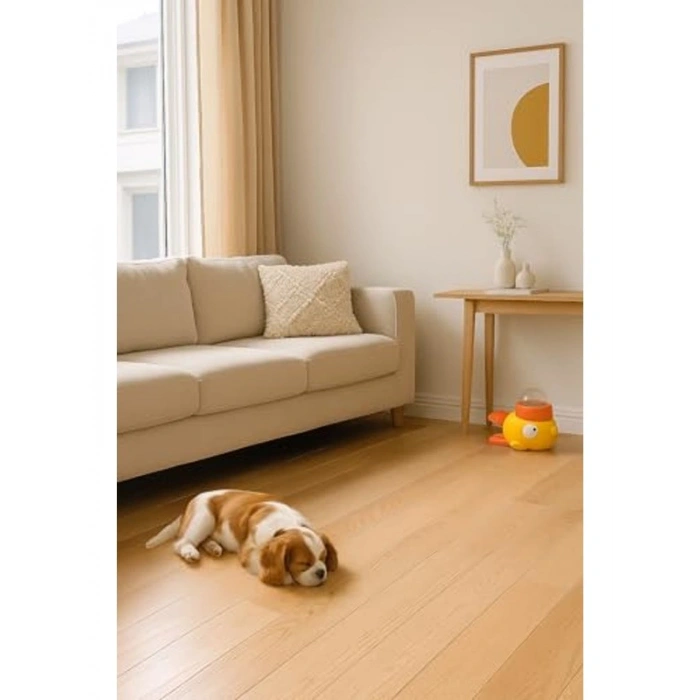 Zeka Geliştirici Kedi Köpek Mama Oyuncağı, İnteraktif Ödül