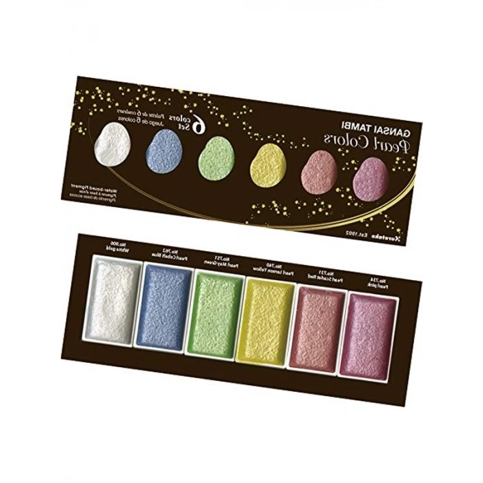 Zig Suluboya Pigment Seti, 6 Renk, Yüksek Kalite