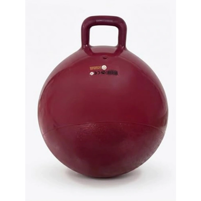 Zıpzıp Pilates Topu, 55 cm Ölçü ile Kullanımı Kolay