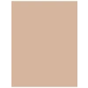 005 BEIGE Yüksek Pigmentli Likit Kapatıcı