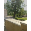 10 Adet Kuş Kovucu, 50 cm Dikenli Etkili Çözüm