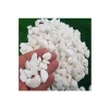 10 Kg Beyaz Dolomit Taş - Bahçe ve Akvaryum İçin