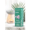 10 ml Çiçek Bahçesi Kokulu Buhurdanlık Esansı