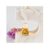 10 ml Mango Aromalı Araç Kokusu, Asılı Kavanoz