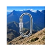 10 mm Kilitli Oval Karabina, Paslanmaz Çelik, Tırmanma İçin Uygun