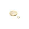 100 Adet Neodyum Mıknatıs, 8 mm Çap, 2 mm Kalınlık