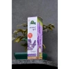 %100 Saf Lavanta Yağı, 20 ml