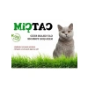 1000 gram %100 Doğal Kedi Çimi Tohumu, Arpa ve Buğday Karışımı