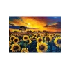 1000 Parça Güneş Hasatı Temalı Puzzle, Eğlenceli Zihin Geliştirme