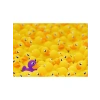 1000 Parça Renkli Ördek Temalı Puzzle, Eğlenceli Zorluk