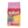 1.2 KG Renkli Taneli Tavuklu Yetişkin Kedi Maması