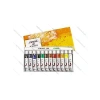 12 Renkli 12 ml Yağlı Boya Seti