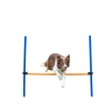 123x115xØ3 cm Köpek Agility Eğitim Manisi