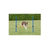 123x115xØ3 cm Köpek Agility Eğitim Manisi