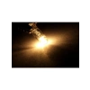 12V T5 1.2W Mini Dipsiz Ampul Seti - 10 Adet Renk Seçeneği